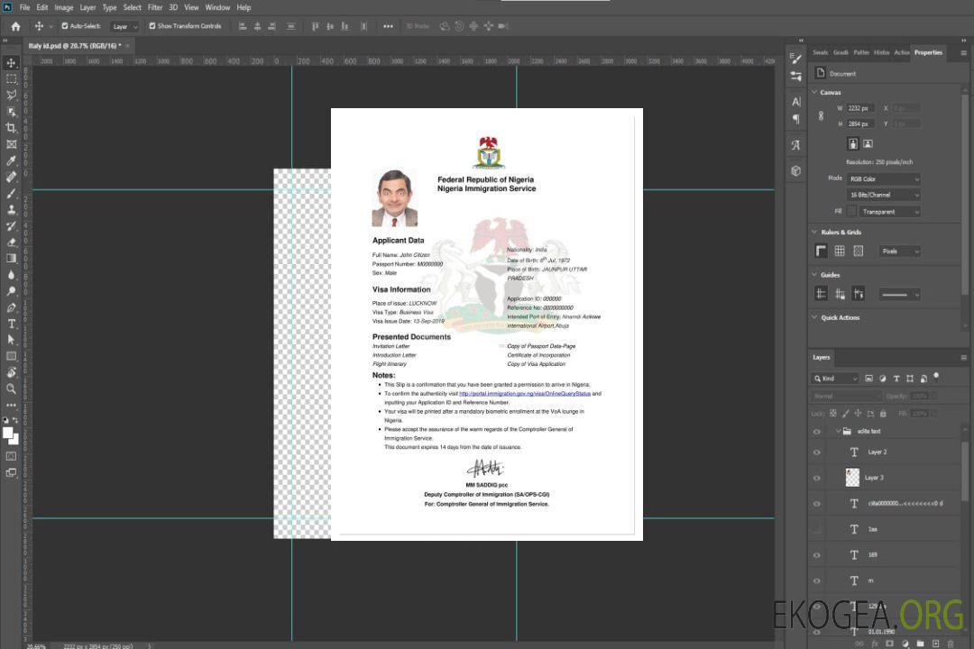 Visa électronique NIGÉRIA template Visa électronique NIGÉRIA template